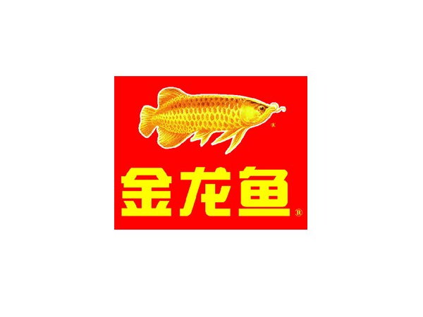 金龍魚(yú).jpg